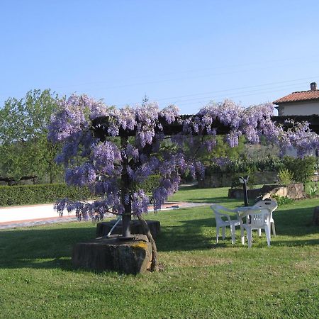 Agriturismo Villani Poderi Nesti & Cupoli Ластра-а-Синья Экстерьер фото