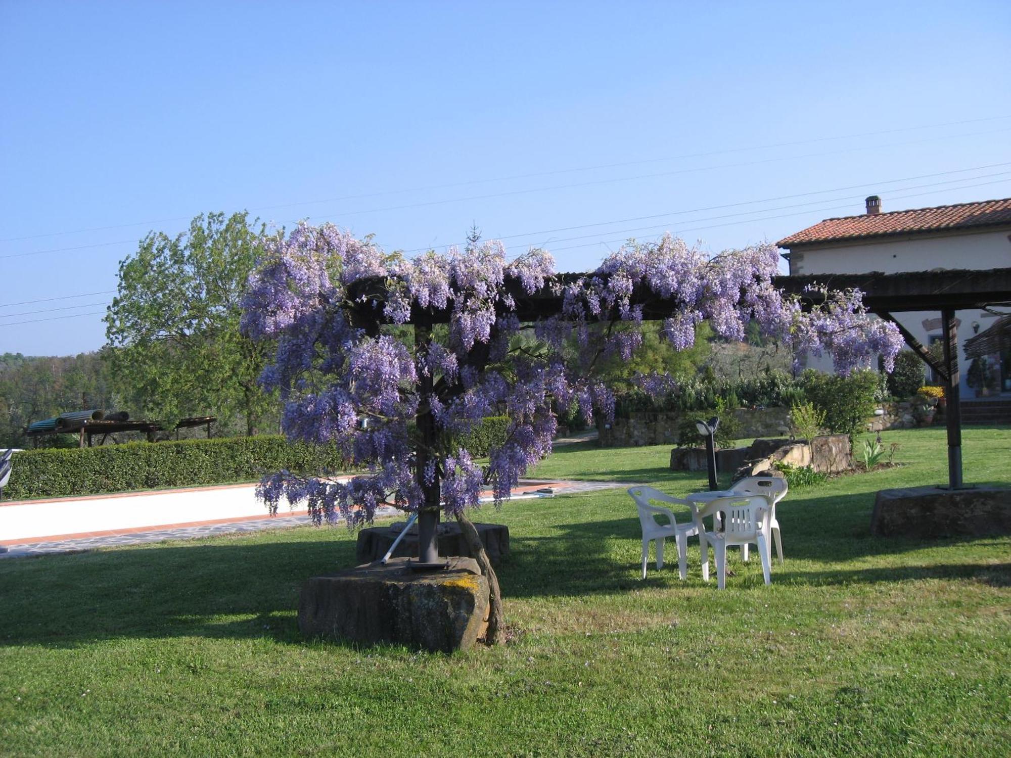 Agriturismo Villani Poderi Nesti & Cupoli Ластра-а-Синья Экстерьер фото